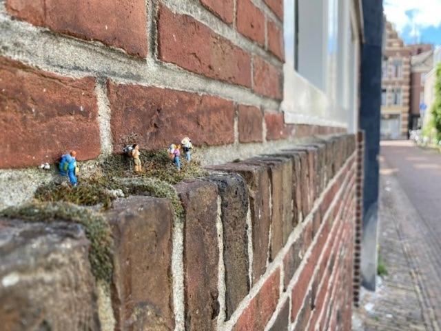 Logement Het Herenwaltje Leeuwarden Bagian luar foto